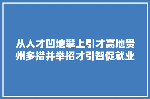 从人才凹地攀上引才高地贵州多措并举招才引智促就业不雅观察