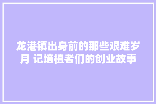 龙港镇出身前的那些艰难岁月 记培植者们的创业故事