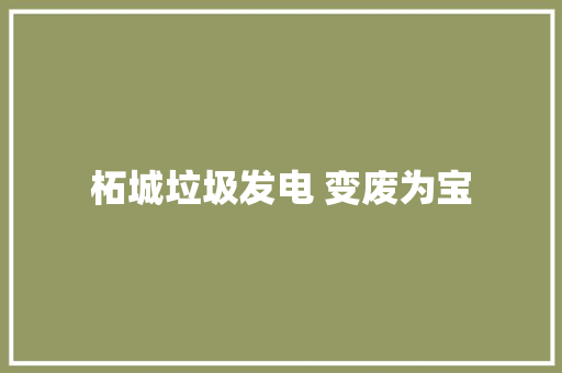 柘城垃圾发电 变废为宝