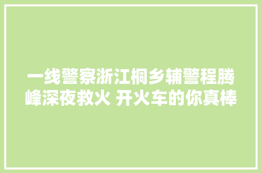 一线警察浙江桐乡辅警程腾峰深夜救火 开火车的你真棒