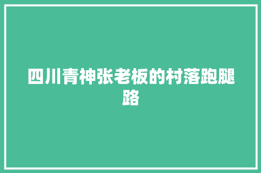 四川青神张老板的村落跑腿路
