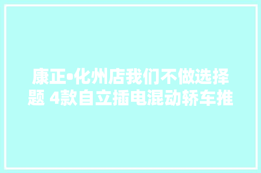 康正•化州店我们不做选择题 4款自立插电混动轿车推荐