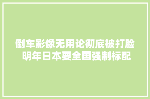 倒车影像无用论彻底被打脸 明年日本要全国强制标配了
