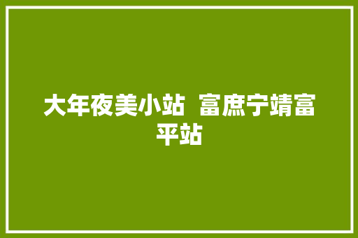 大年夜美小站  富庶宁靖富平站
