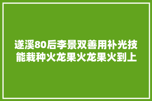 遂溪80后李景双善用补光技能栽种火龙果火龙果火到上央视 小伙子圆了创业梦