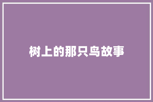 摩托车越修越严重贵阳车主维修店神操作拆了右边换到左边