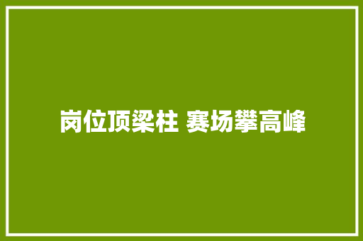 岗位顶梁柱 赛场攀高峰