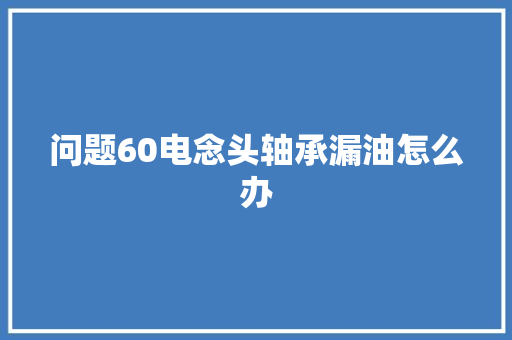 问题60电念头轴承漏油怎么办