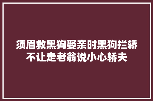 须眉救黑狗娶亲时黑狗拦轿不让走老翁说小心轿夫
