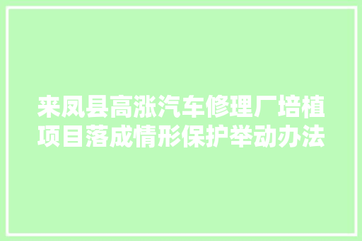 来凤县高涨汽车修理厂培植项目落成情形保护举动办法验收意见