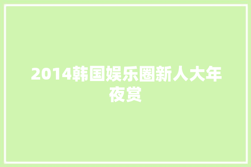 2014韩国娱乐圈新人大年夜赏