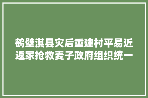 鹤壁淇县灾后重建村平易近返家抢救麦子政府组织统一处理动物尸首