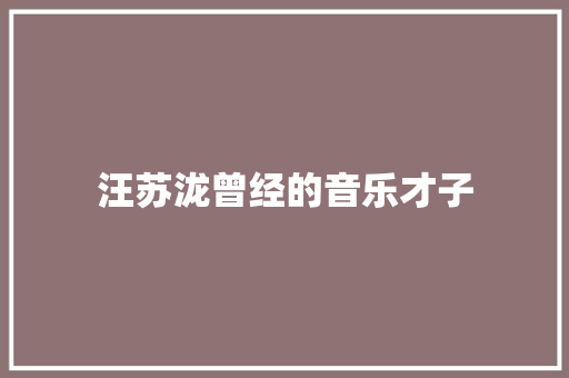 汪苏泷曾经的音乐才子