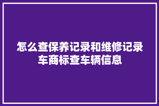 怎么查保养记录和维修记录车商标查车辆信息