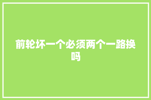 前轮坏一个必须两个一路换吗