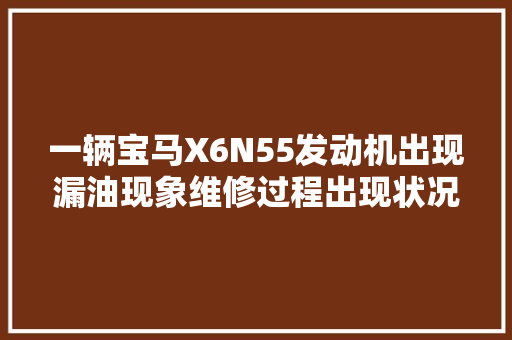 一辆宝马X6N55发动机出现漏油现象维修过程出现状况赓续