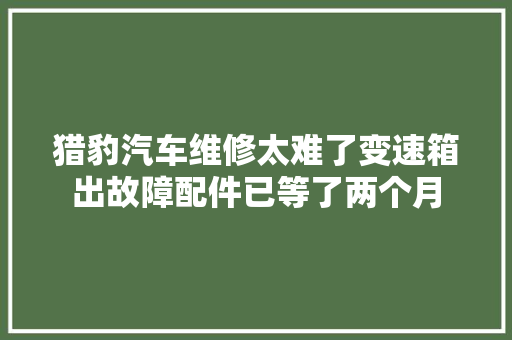 猎豹汽车维修太难了变速箱出故障配件已等了两个月 汽车知识