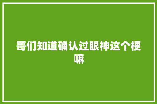 哥们知道确认过眼神这个梗嘛