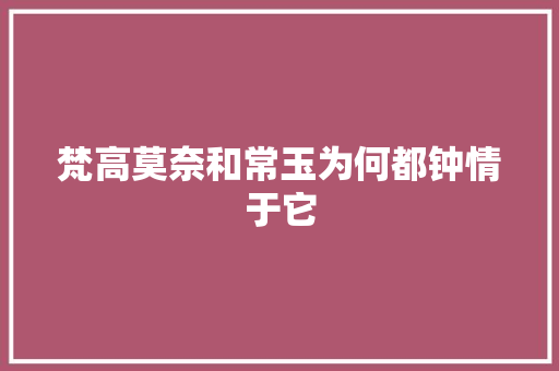 梵高莫奈和常玉为何都钟情于它