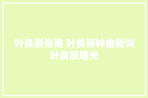 叶良辰是谁 叶良辰神曲我叫叶良辰曝光