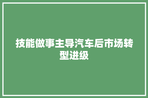 技能做事主导汽车后市场转型进级
