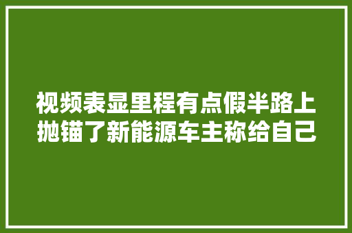 视频表显里程有点假半路上抛锚了新能源车主称给自己上了一课