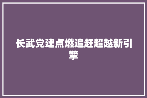 长武党建点燃追赶超越新引擎