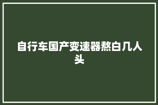 自行车国产变速器熬白几人头