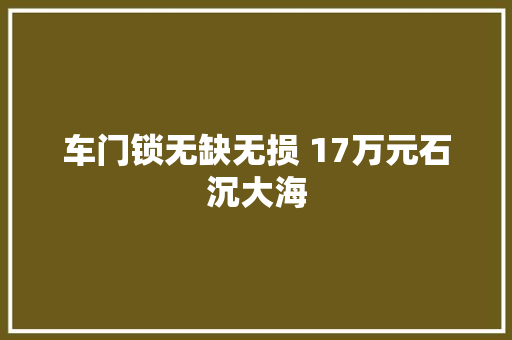 车门锁无缺无损 17万元石沉大海