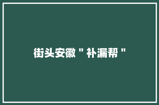 街头安徽＂补漏帮＂