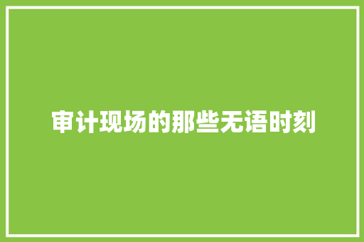 审计现场的那些无语时刻