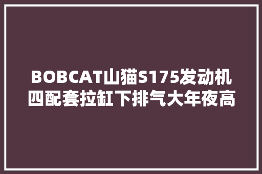BOBCAT山猫S175发动机四配套拉缸下排气大年夜高温无力若何检查维修