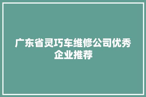 广东省灵巧车维修公司优秀企业推荐