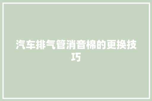 汽车排气管消音棉的更换技巧  第1张