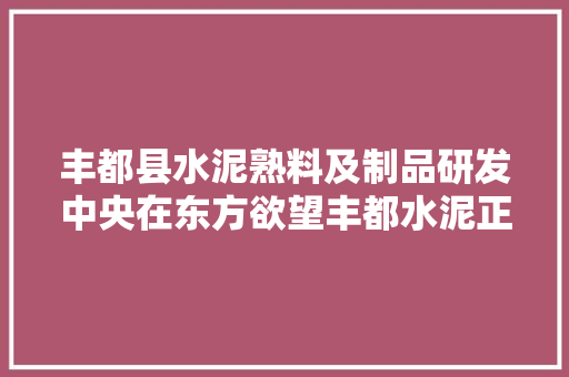 丰都县水泥熟料及制品研发中央在东方欲望丰都水泥正式挂牌