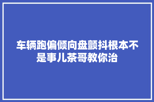车辆跑偏倾向盘颤抖根本不是事儿茶哥教你治