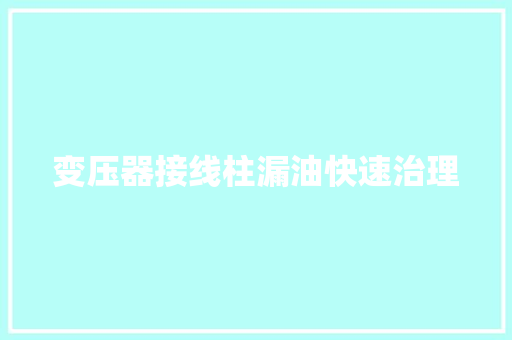 变压器接线柱漏油快速治理  第1张