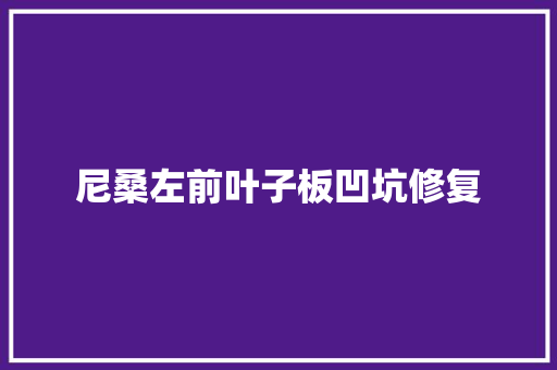 尼桑左前叶子板凹坑修复