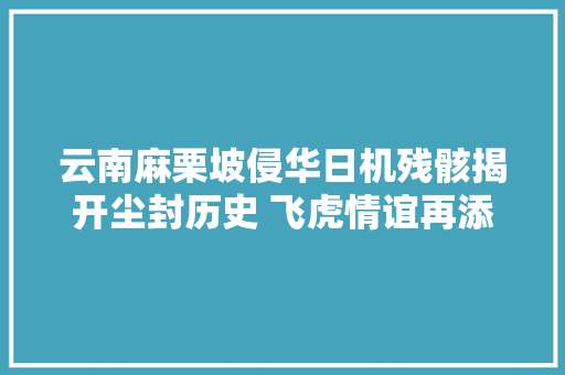 云南麻栗坡侵华日机残骸揭开尘封历史 飞虎情谊再添新物证