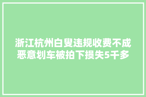 浙江杭州白叟违规收费不成恶意划车被拍下损失5千多恐担刑责  第1张