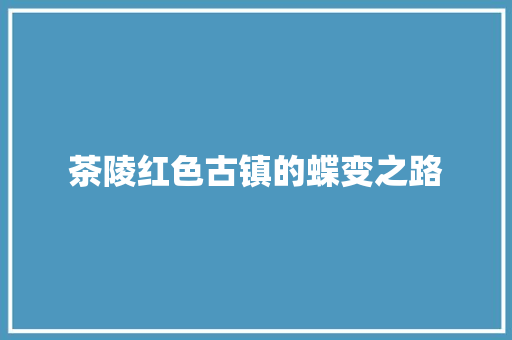 茶陵红色古镇的蝶变之路