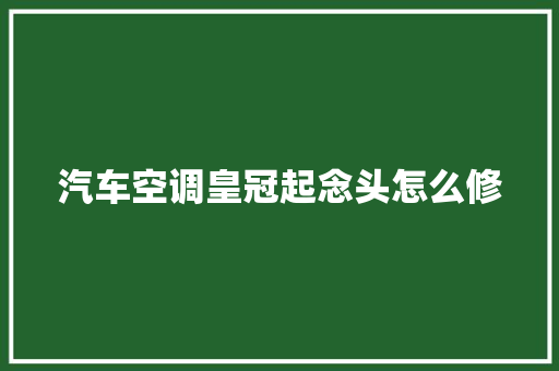 汽车空调皇冠起念头怎么修