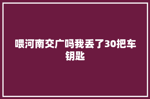 喂河南交广吗我丢了30把车钥匙