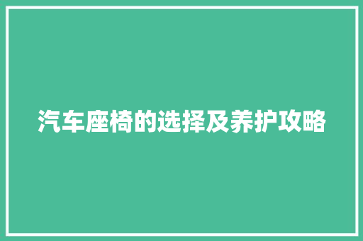 汽车座椅的选择及养护攻略