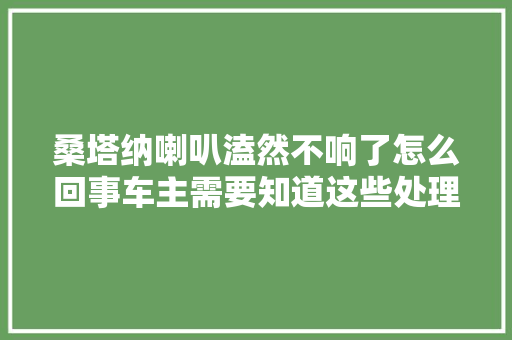 桑塔纳喇叭溘然不响了怎么回事车主需要知道这些处理方法