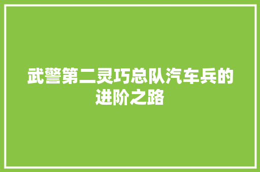 武警第二灵巧总队汽车兵的进阶之路