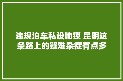 违规泊车私设地锁 昆明这条路上的疑难杂症有点多  第1张