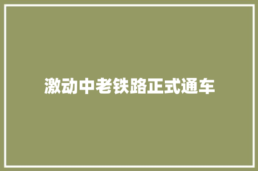 激动中老铁路正式通车