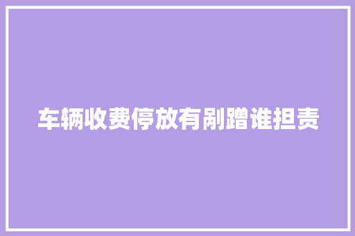 车辆收费停放有剐蹭谁担责  第1张