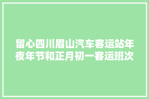 留心四川眉山汽车客运站年夜年节和正月初一客运班次有调解